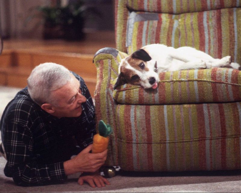 The Dog's Death in